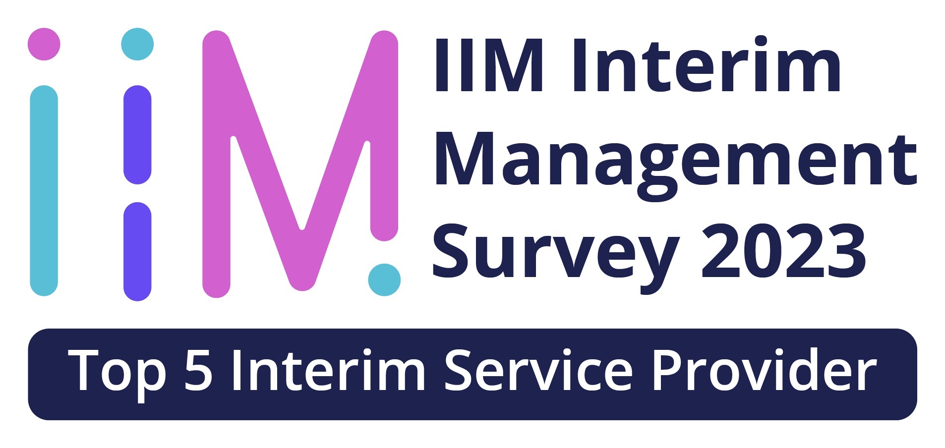 iim interim management top providers
