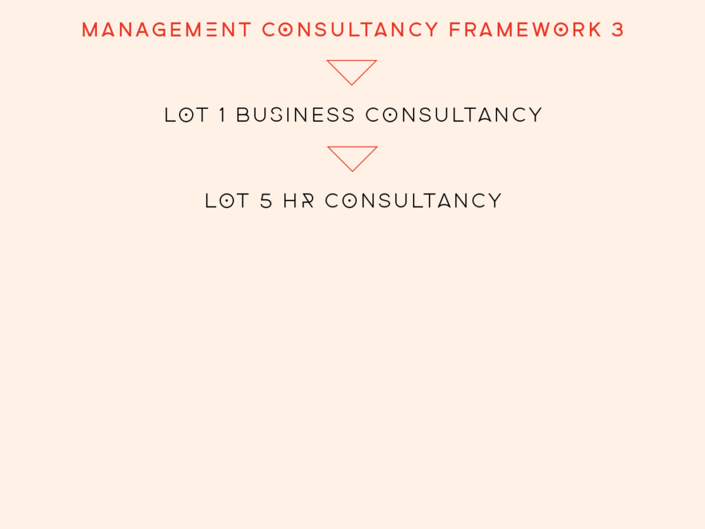 image showing the lots of management consultancy framework 3 that practicus is on including business consultancy and hr consultancy