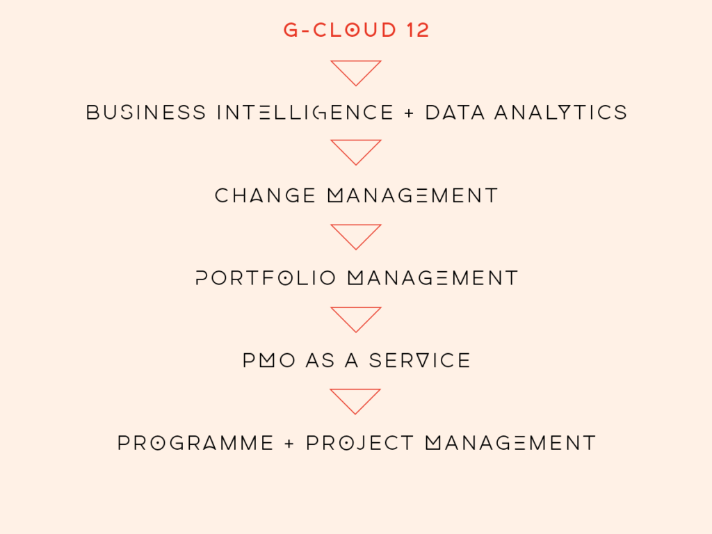 image showing Practicus services under g cloud 12, including business intelligence, change management, portfolio management, pmo as a service, programe project management