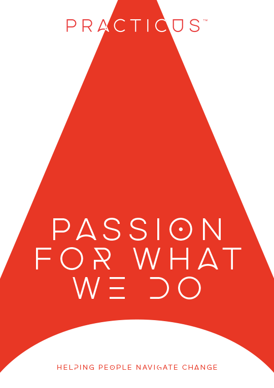 practicus value, passion for what we do