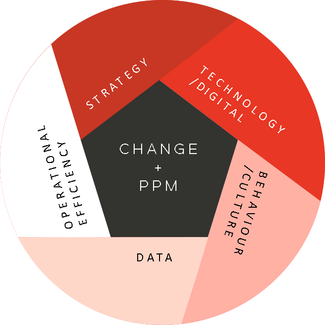 HR Strategy - Practicus