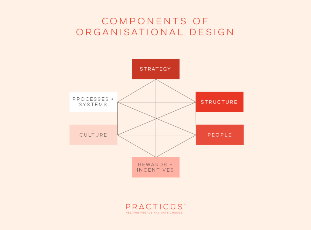 organisational design