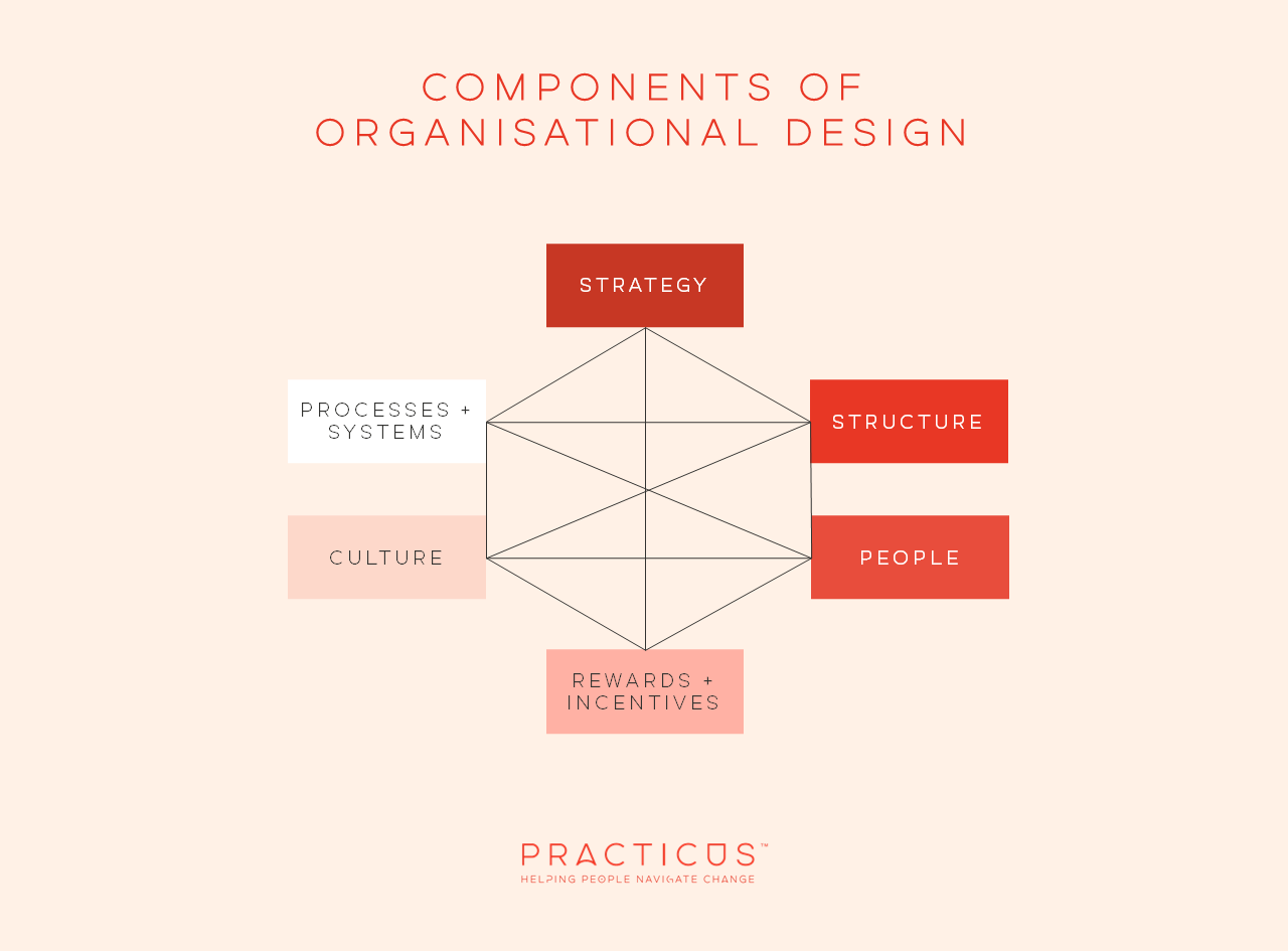 organisational design