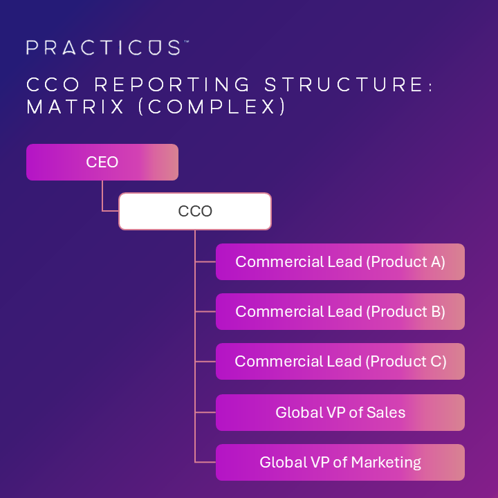Chief Commercial Officer (CCO) Complex Matrix Reporting Structure