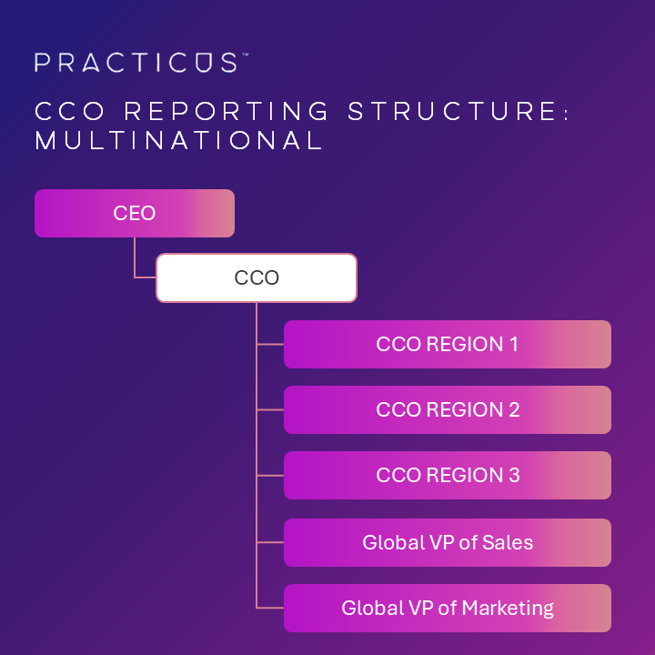 Chief Commercial Officer (CCO) Multinational Reporting Structure
